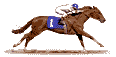 moving graphic of a race horse