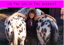 photo of Denise between two spotted horse rumps