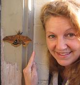 photo of huge moth