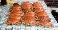 photo of crabs caught