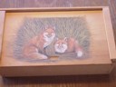 photo of foxes I painted on a box
