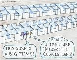 Cubicle Land cartoon