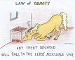 Law Of Gravity cartoon